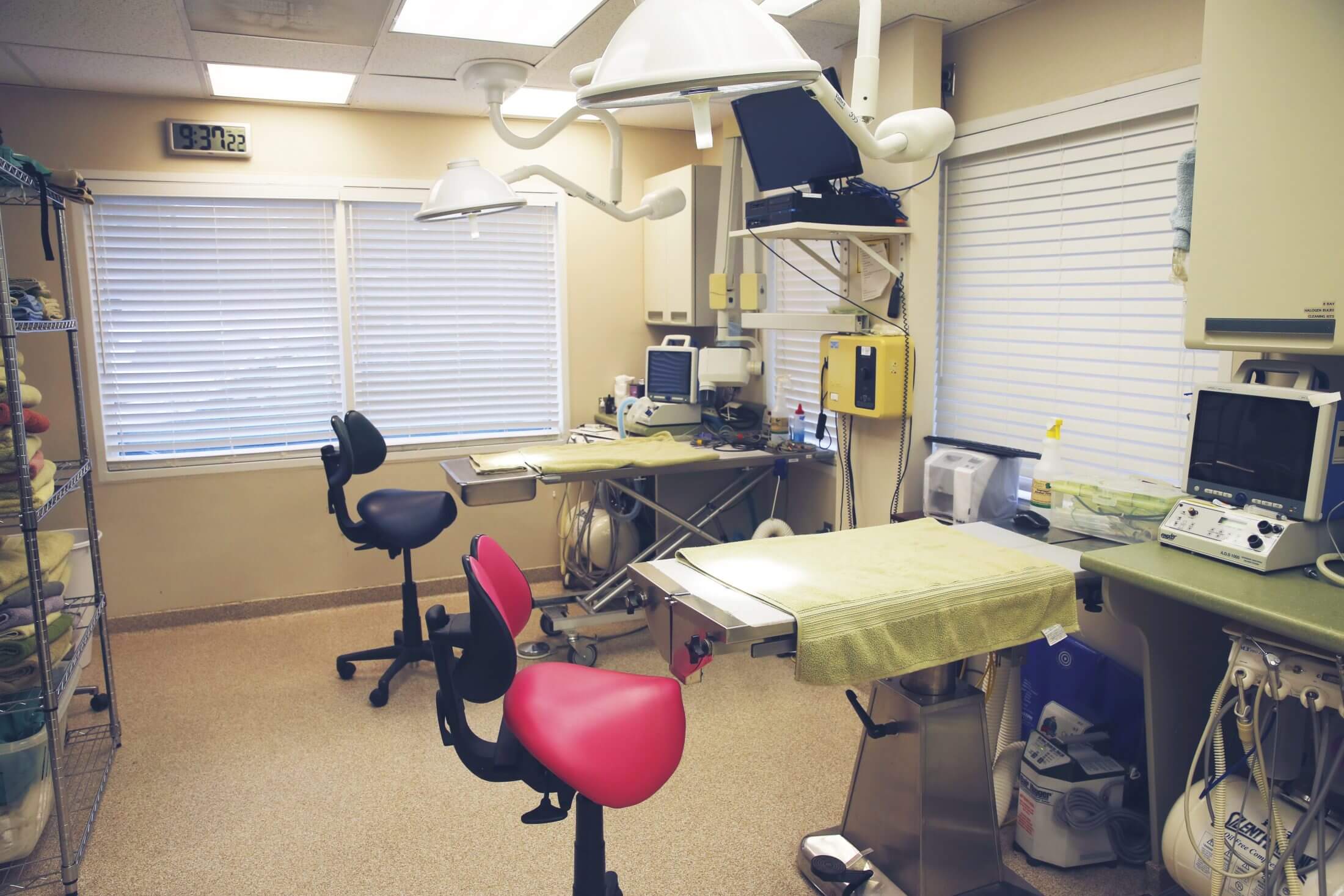 Dental Cleaning Station