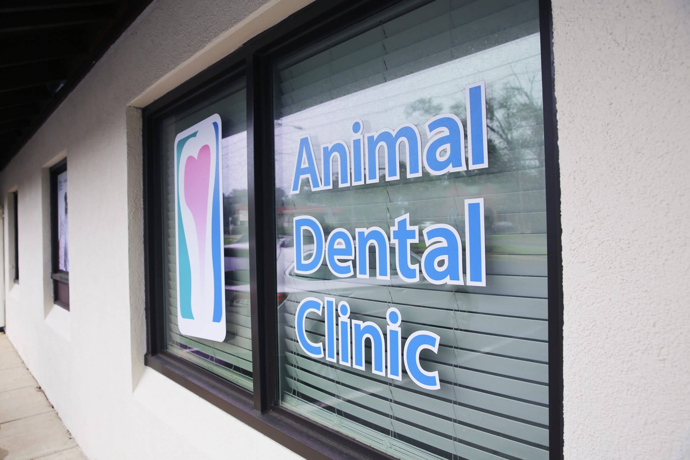 Animal Dental Clinic Window Sign