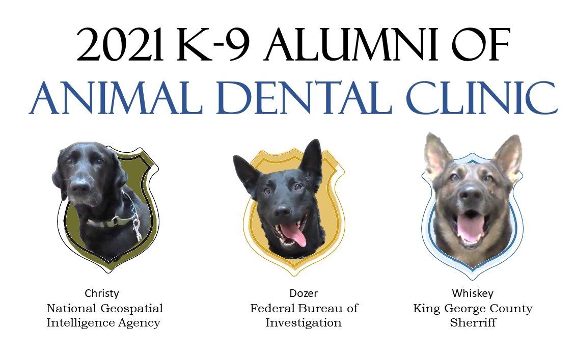 K-9 Alumni