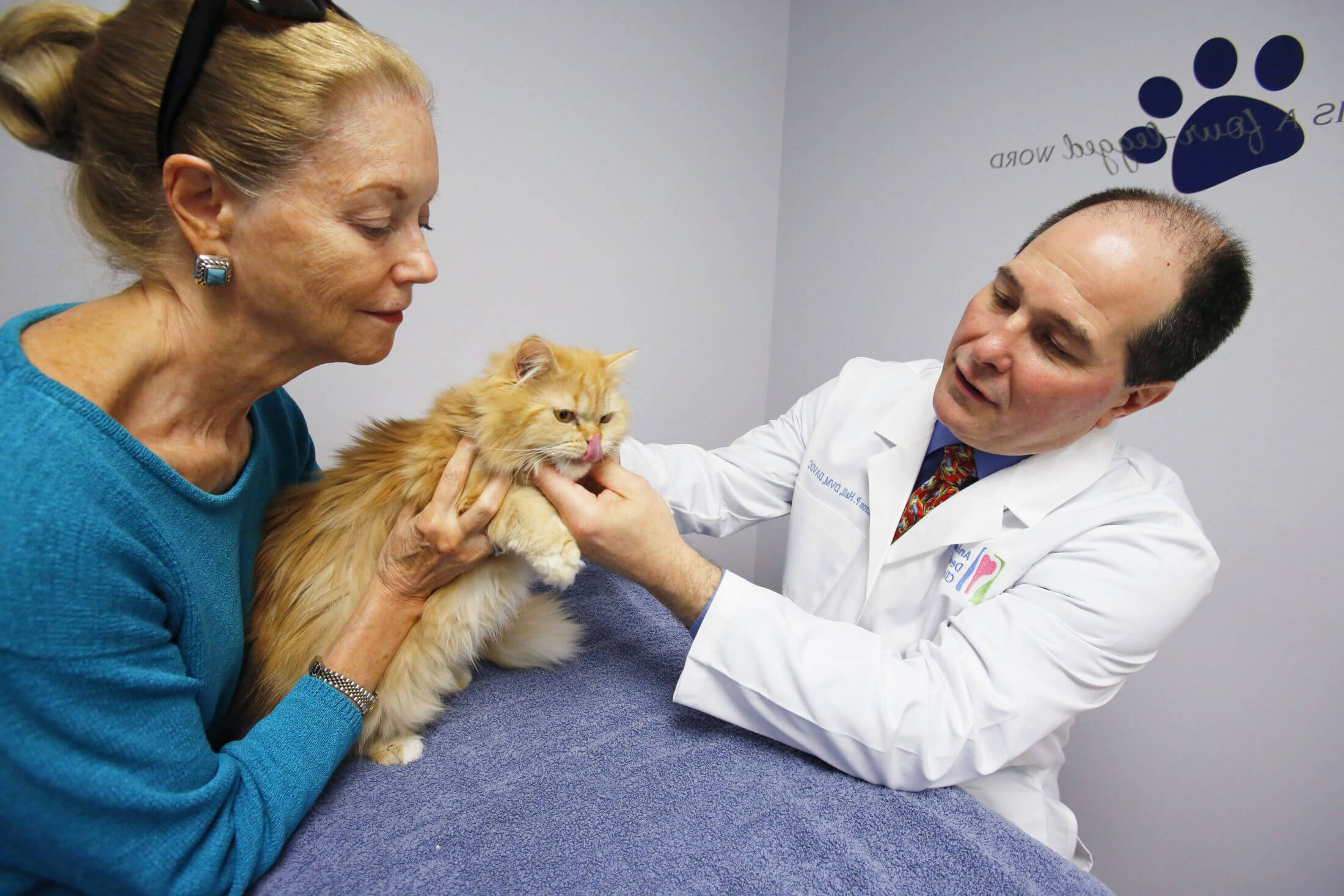 Welcome To Animal Dental Clinic 