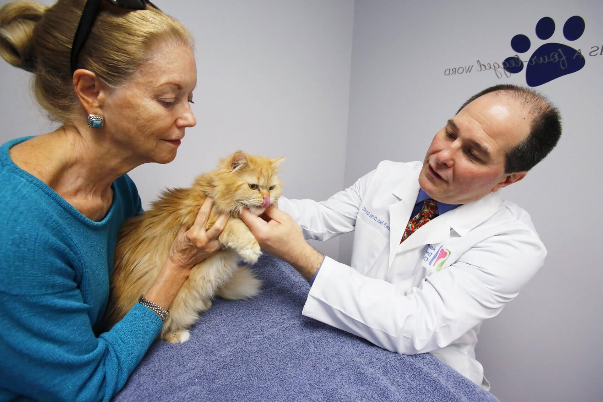 Veterinarian in Vienna VA