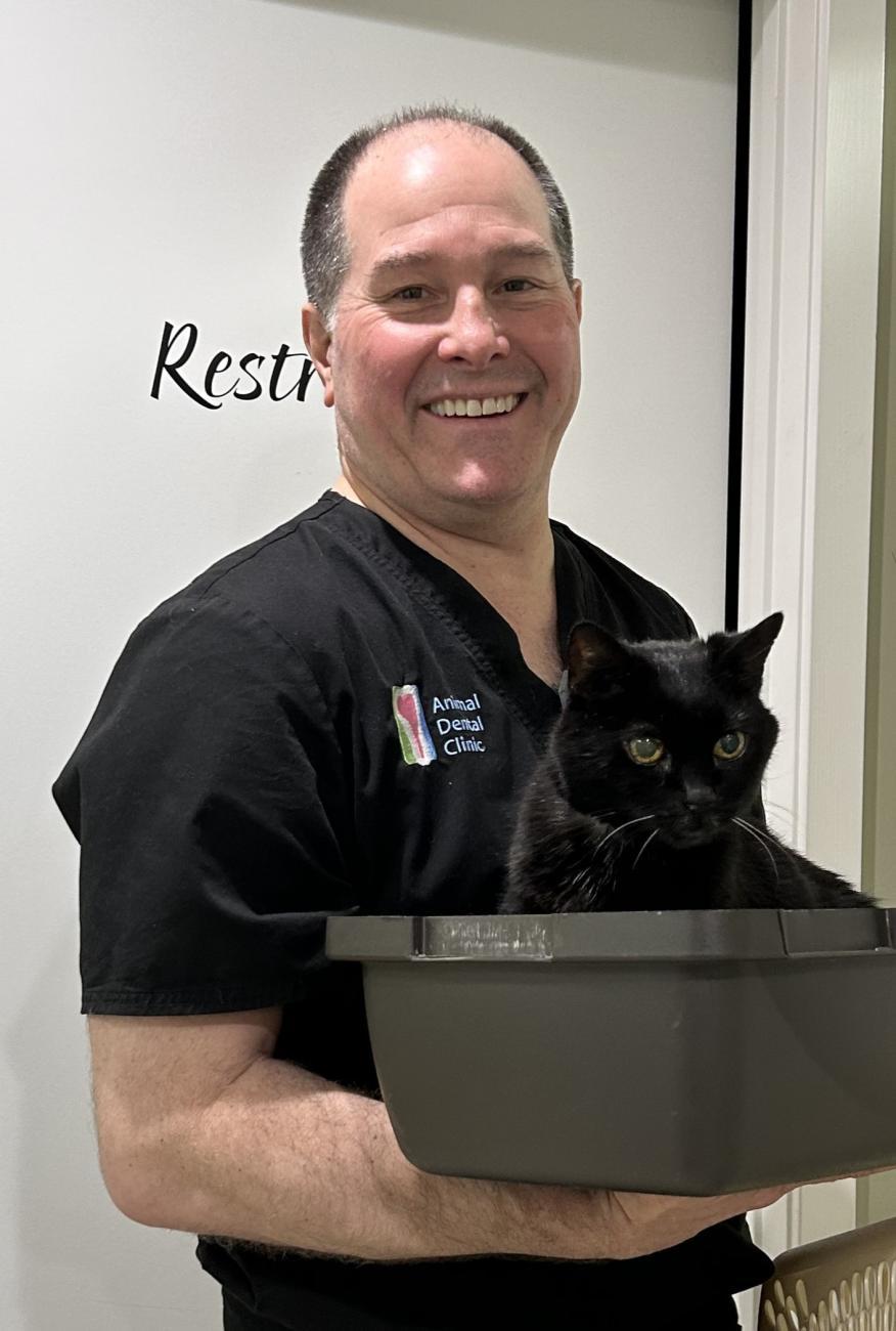 pet clinic in Vienna VA